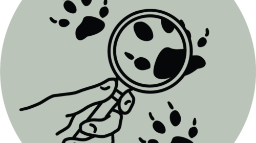 stickers_clear_tracking